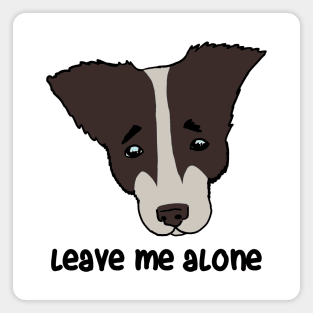 leave me alone. sad dog Magnet